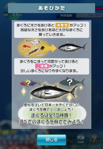 金枪鱼养殖手机游戏下载,金枪鱼养殖,养成游戏,模拟游戏